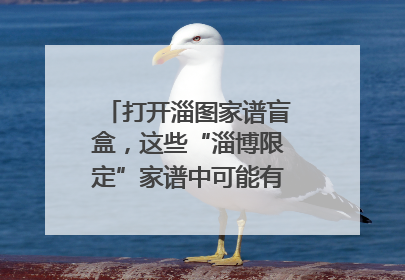 打开淄图家谱盲盒，这些“淄博限定”家谱中可能有你的隐藏身份