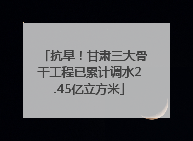 抗旱！甘肃三大骨干工程已累计调水2.45亿立方米