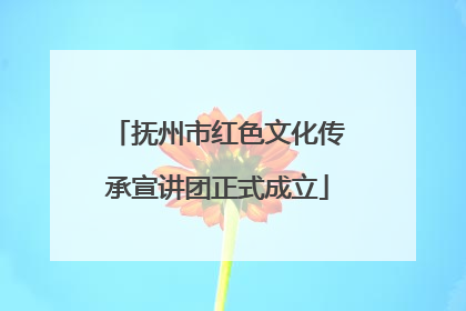 抚州市红色文化传承宣讲团正式成立