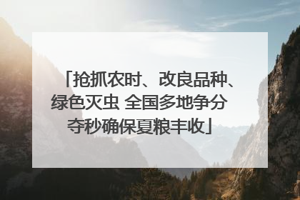 抢抓农时、改良品种、绿色灭虫 全国多地争分夺秒确保夏粮丰收