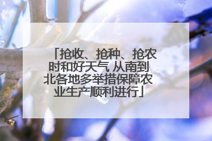 抢收、抢种、抢农时和好天气 从南到北各地多举措保障农业生产顺利进行