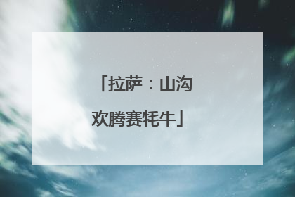 拉萨：山沟欢腾赛牦牛
