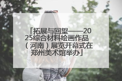 拓展与回望——2025综合材料绘画作品（河南）展览开幕式在郑州美术馆举办
