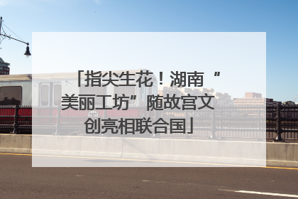 指尖生花！湖南“美丽工坊”随故宫文创亮相联合国