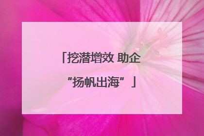 挖潜增效 助企“扬帆出海”