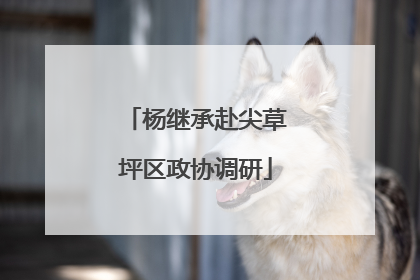 杨继承赴尖草坪区政协调研