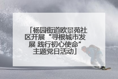 杨园街道欧景苑社区开展“寻根城市发展 践行初心使命”主题党日活动