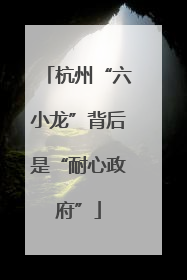 杭州“六小龙”背后是“耐心政府”