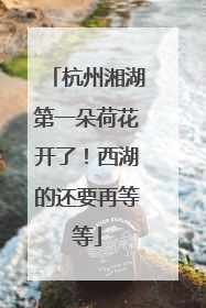 杭州湘湖第一朵荷花开了！西湖的还要再等等