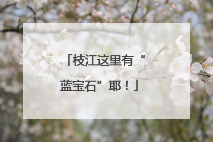 枝江这里有“蓝宝石”耶！