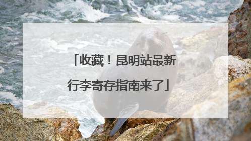 收藏！昆明站最新行李寄存指南来了