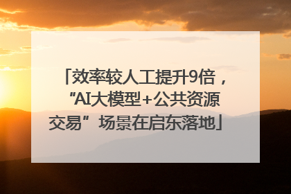 效率较人工提升9倍，“AI大模型+公共资源交易”场景在启东落地