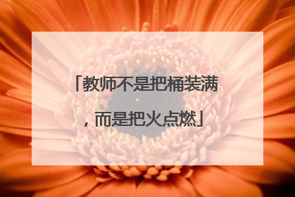 教师不是把桶装满，而是把火点燃