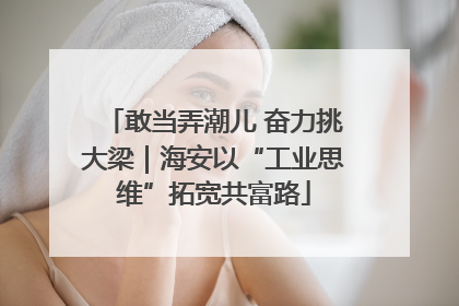 敢当弄潮儿 奋力挑大梁｜海安以“工业思维”拓宽共富路