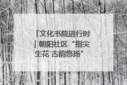文化书院进行时｜朝阳社区“指尖生花 古韵悠扬”公益课堂开课了