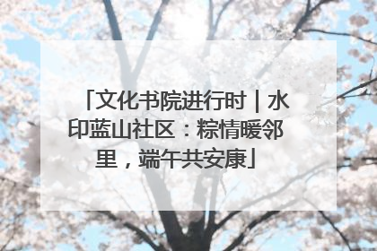 文化书院进行时｜水印蓝山社区：粽情暖邻里，端午共安康