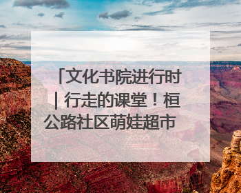 文化书院进行时｜行走的课堂！桓公路社区萌娃超市探索之旅