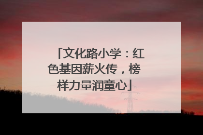 文化路小学：红色基因薪火传，榜样力量润童心