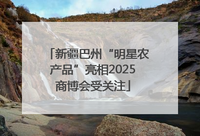新疆巴州“明星农产品”亮相2025商博会受关注