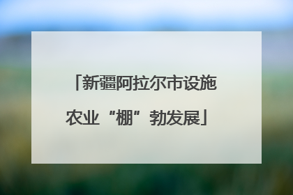 新疆阿拉尔市设施农业“棚”勃发展