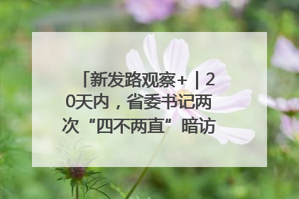 新发路观察+｜20天内，省委书记两次“四不两直”暗访，有何深意？