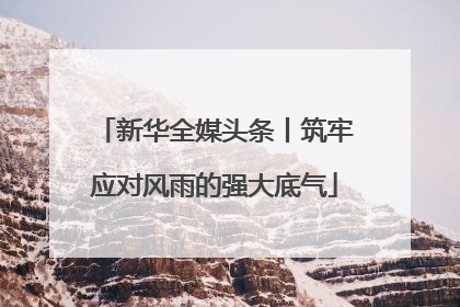 新华全媒头条丨筑牢应对风雨的强大底气