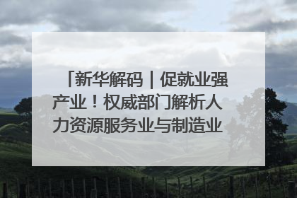 新华解码｜促就业强产业！权威部门解析人力资源服务业与制造业融合发展试点