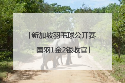 新加坡羽毛球公开赛：国羽1金2银收官