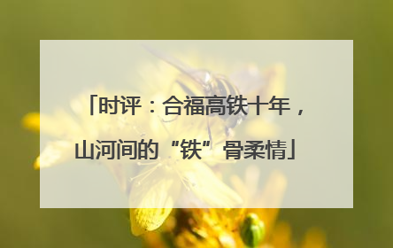 时评：合福高铁十年，山河间的“铁”骨柔情