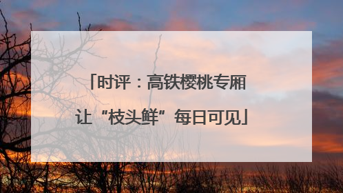 时评：高铁樱桃专厢 让“枝头鲜”每日可见