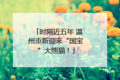 时隔近五年 温州重新迎来“国宝”大熊猫！