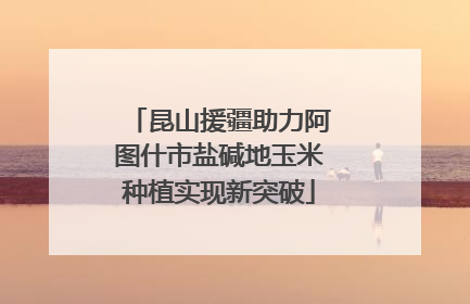 昆山援疆助力阿图什市盐碱地玉米种植实现新突破