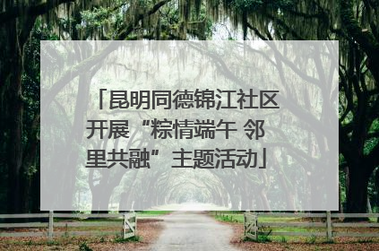 昆明同德锦江社区开展“粽情端午 邻里共融”主题活动