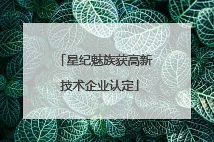星纪魅族获高新技术企业认定