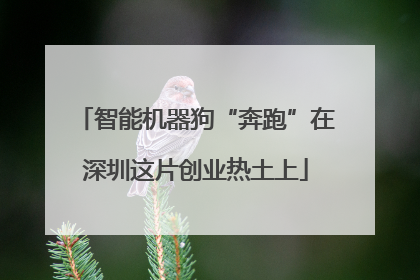 智能机器狗“奔跑”在深圳这片创业热土上