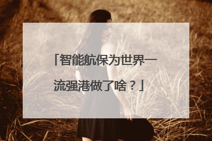 智能航保为世界一流强港做了啥？