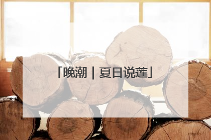 晚潮｜夏日说莲