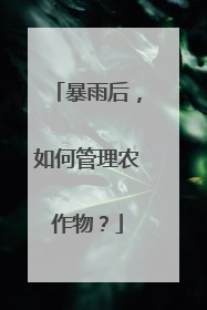 暴雨后，如何管理农作物？