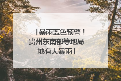 暴雨蓝色预警！贵州东南部等地局地有大暴雨