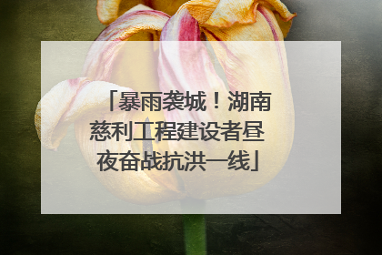 暴雨袭城！湖南慈利工程建设者昼夜奋战抗洪一线