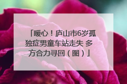 暖心！庐山市6岁孤独症男童车站走失 多方合力寻回（图）