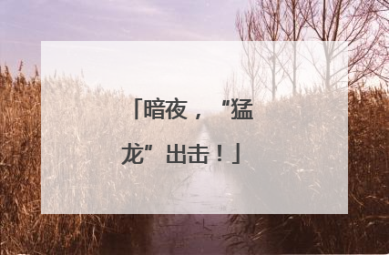 暗夜，“猛龙”出击！