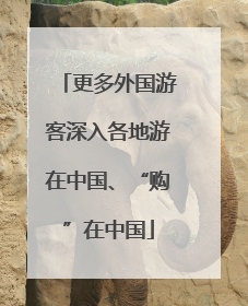 更多外国游客深入各地游在中国、“购”在中国