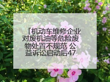 机动车维修企业对废机油等危险废物处置不规范 公益诉讼启动后47家企业依法备案