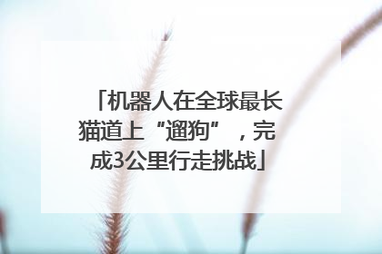 机器人在全球最长猫道上“遛狗”，完成3公里行走挑战