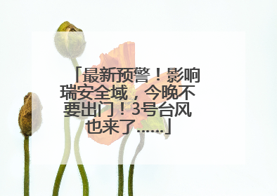 最新预警！影响瑞安全域，今晚不要出门！3号台风也来了……