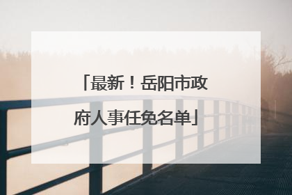 最新！岳阳市政府人事任免名单