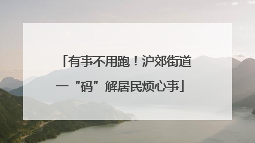 有事不用跑！沪郊街道一“码”解居民烦心事