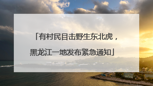 有村民目击野生东北虎，黑龙江一地发布紧急通知