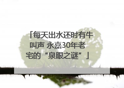 每天出水还时有牛叫声 永嘉30年老宅的“泉眼之谜”